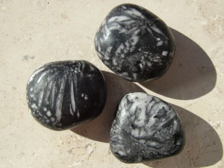 Chrysanthemenstein schwarz/weiß Trommelstein 